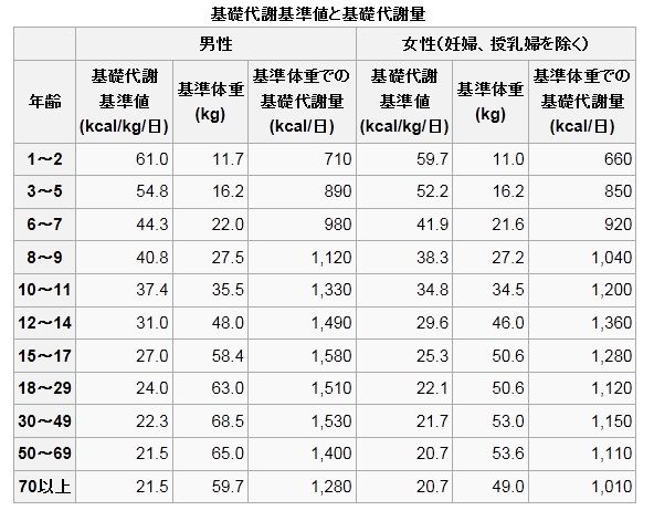 年代別基礎代謝量